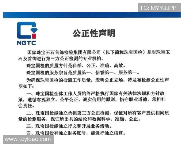 羽毛球赛事裁判判罚公平性研究及典型争议案例深度分析